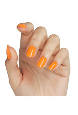 Bluesky AW2404 Peachy Crush