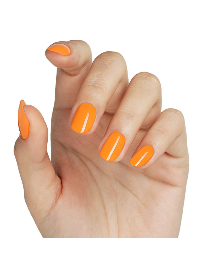 Bluesky AW2404 Peachy Crush