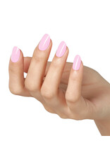 Bluesky AW2408 Blush Blossom