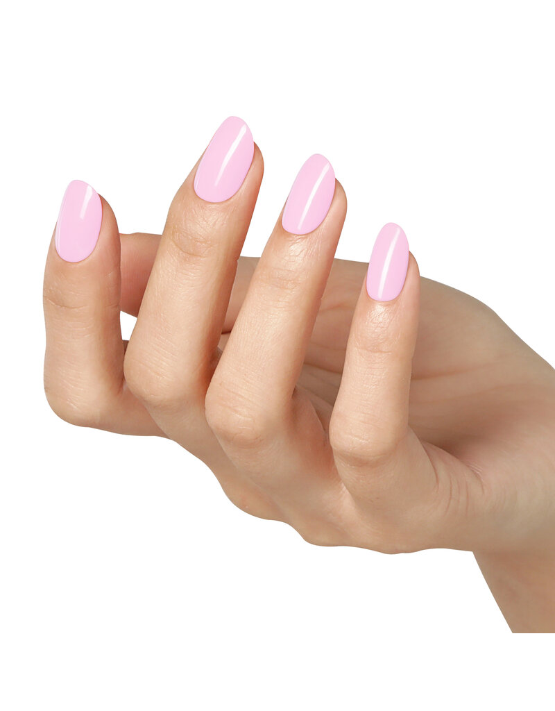 Bluesky AW2408 Blush Blossom