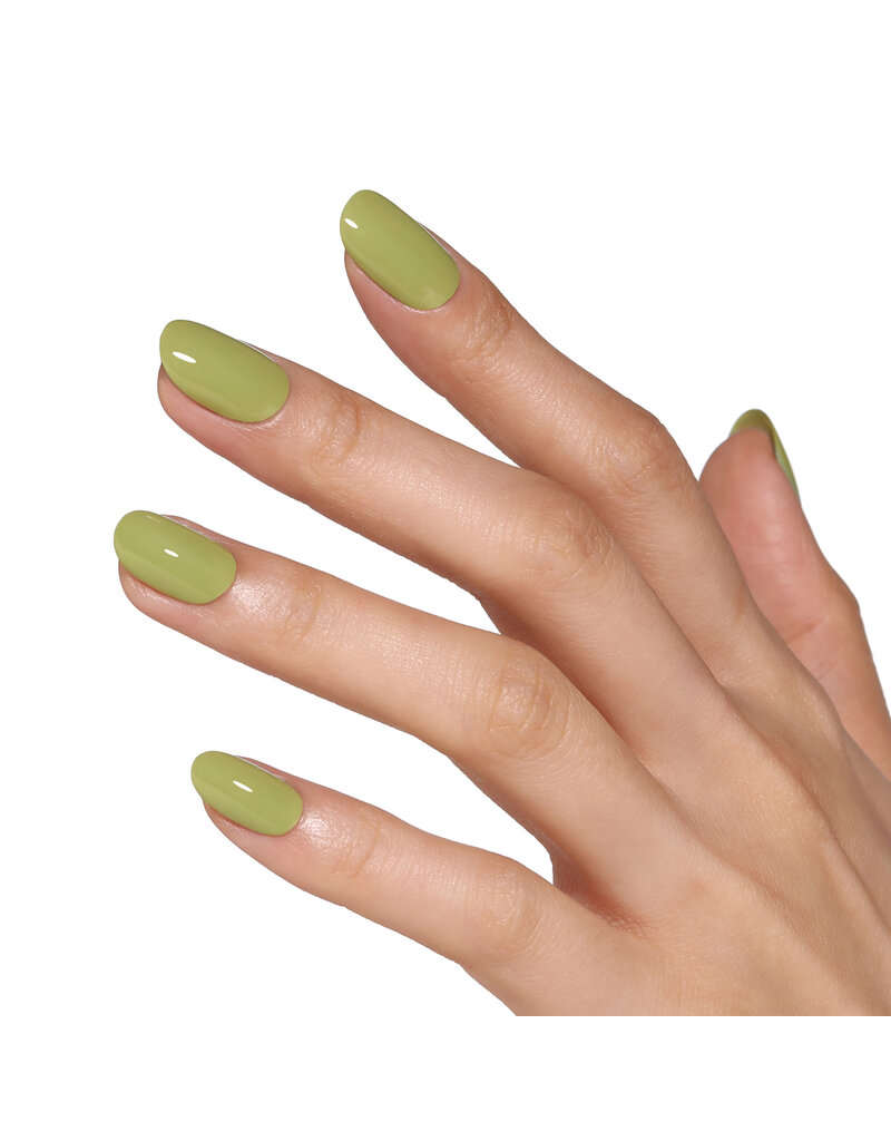 Bluesky AW2421 Olive Hush