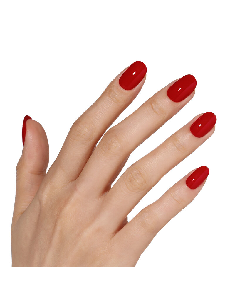 Bluesky AW2423 Scarlet Velvet