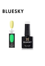 Bluesky Glow in the Dark 5