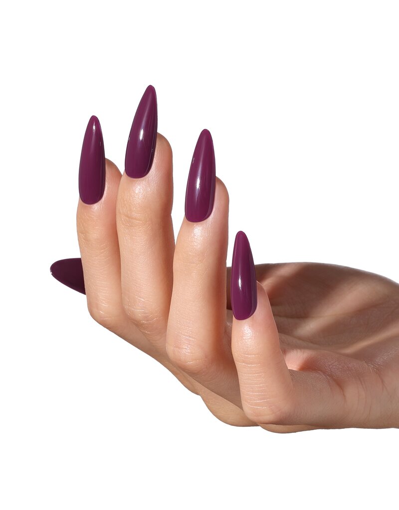 Bluesky AW2504 Lionheart Lacquer