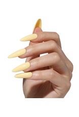 Bluesky AW2505 Desert Star