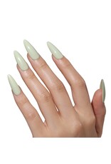 Bluesky AW2509 Gentle Grass