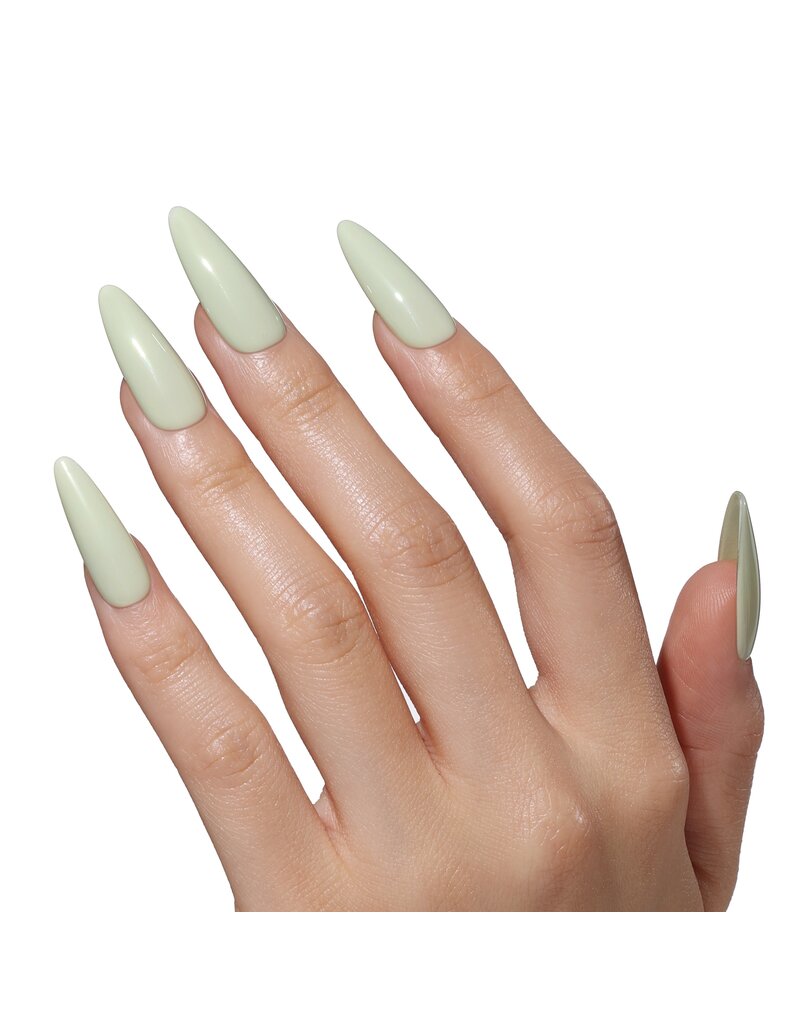 Bluesky AW2509 Gentle Grass