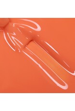 Bluesky SS2613 Blaze Orange