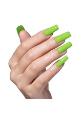 Bluesky SS2618 Fresh Meadow