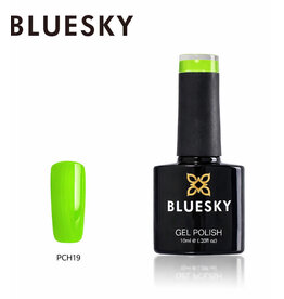 Bluesky PCH19