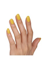 Bluesky AW2204 Against the Chill