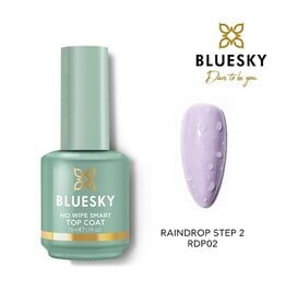 Bluesky RDP02 RainDrops