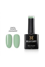 Bluesky AW2609