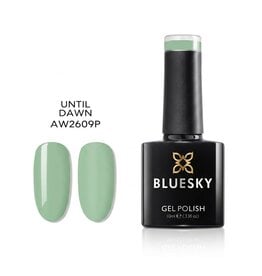 Bluesky AW2609