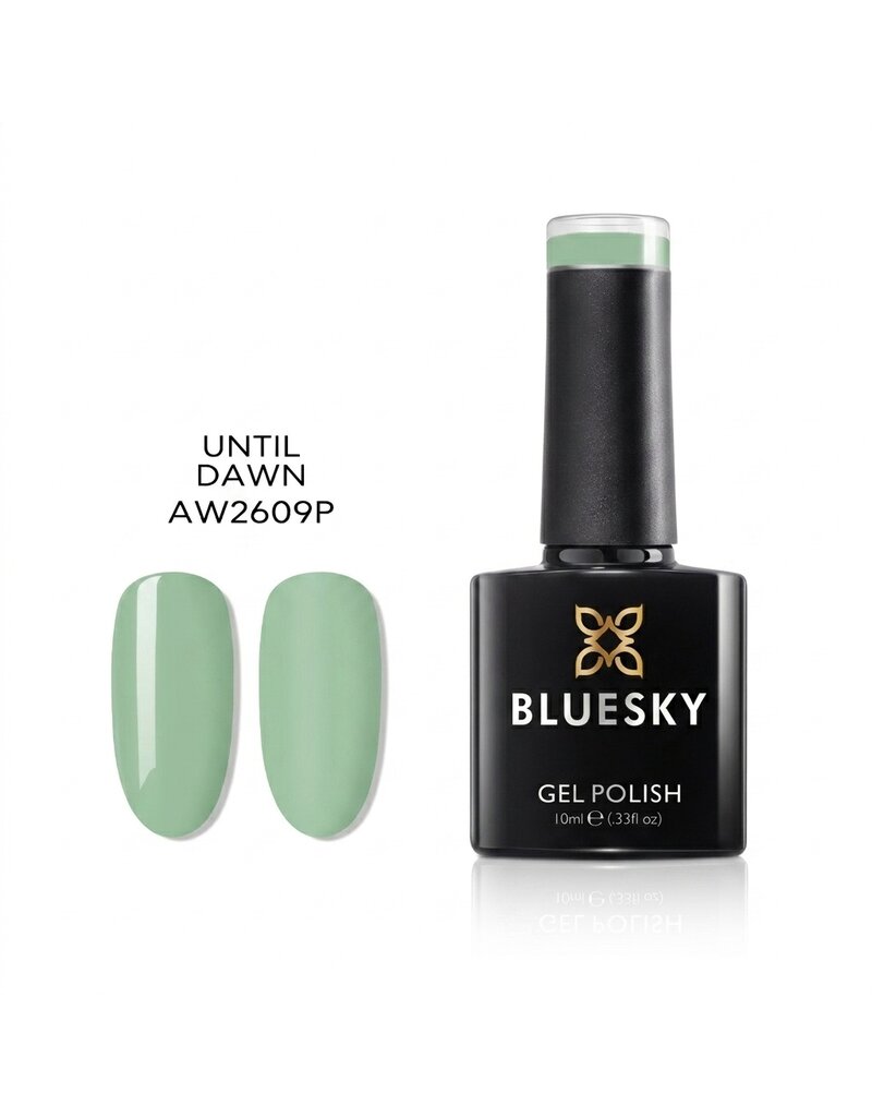 Bluesky AW2609
