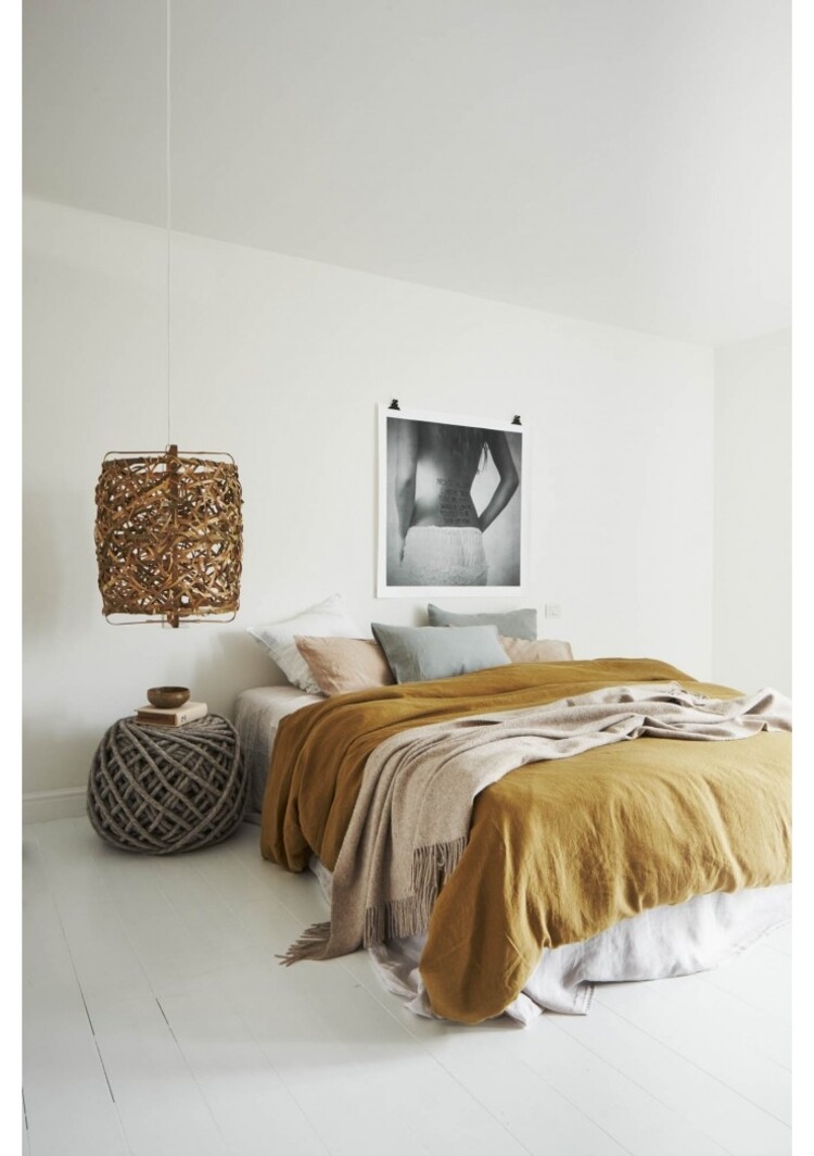 Ay Illuminate Bird's nest