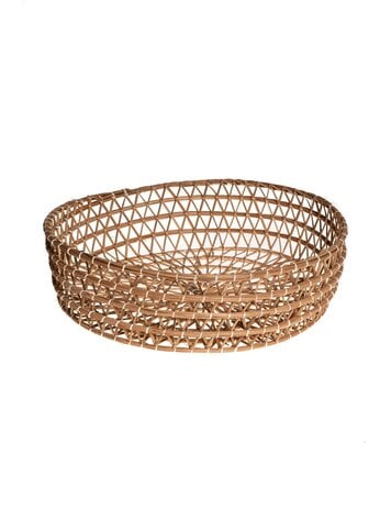 Basket date palm 'Kerkena Degla'