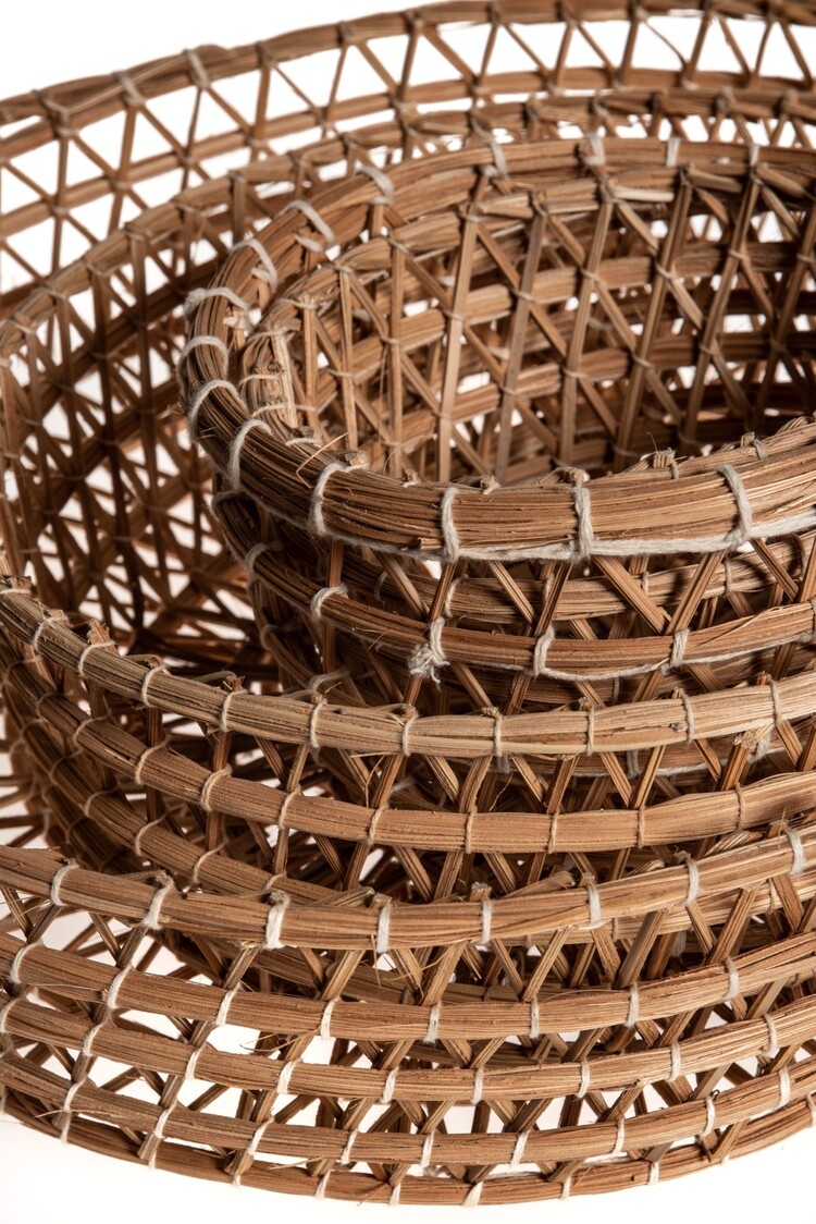 Basket date palm 'Kerkena Degla'