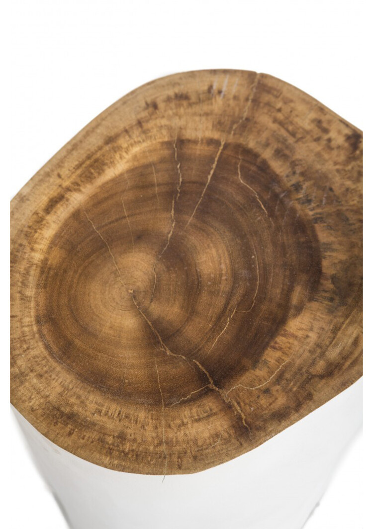 Witte  boomstam palm kruk