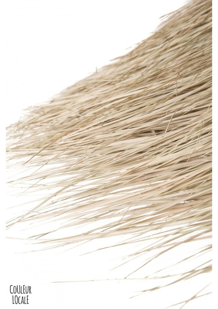 Rock The Kasbah Suspension M'dalla