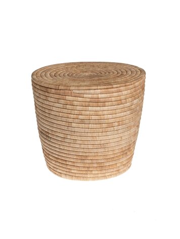 Cone stool palm
