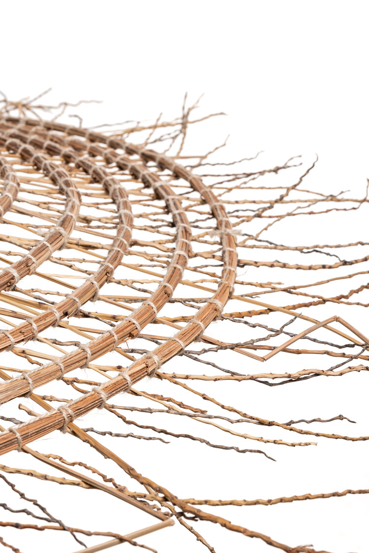 Rock The Kasbah Date palm suspension