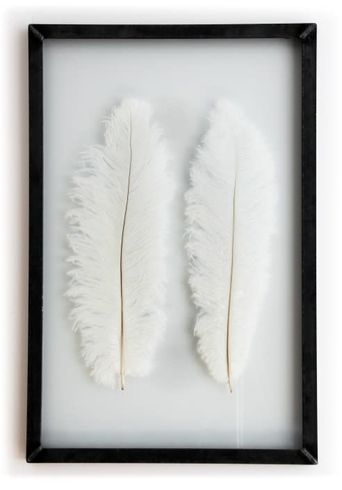 white ostrich feathers