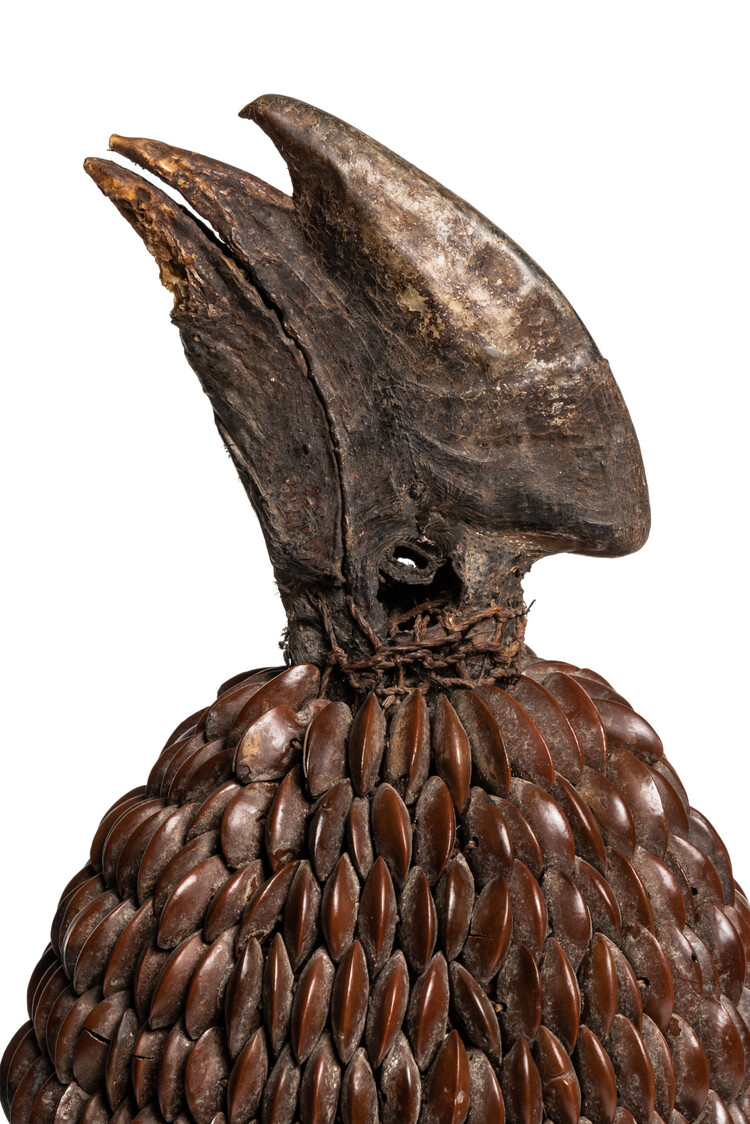 Tribaal hoedje met zaad knopen en calao bek - Lega, D.R. Congo