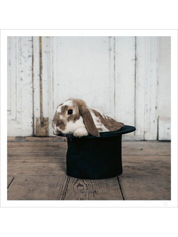 Love Warriors Hocus pocus bunny in a hat 50x50 - poster