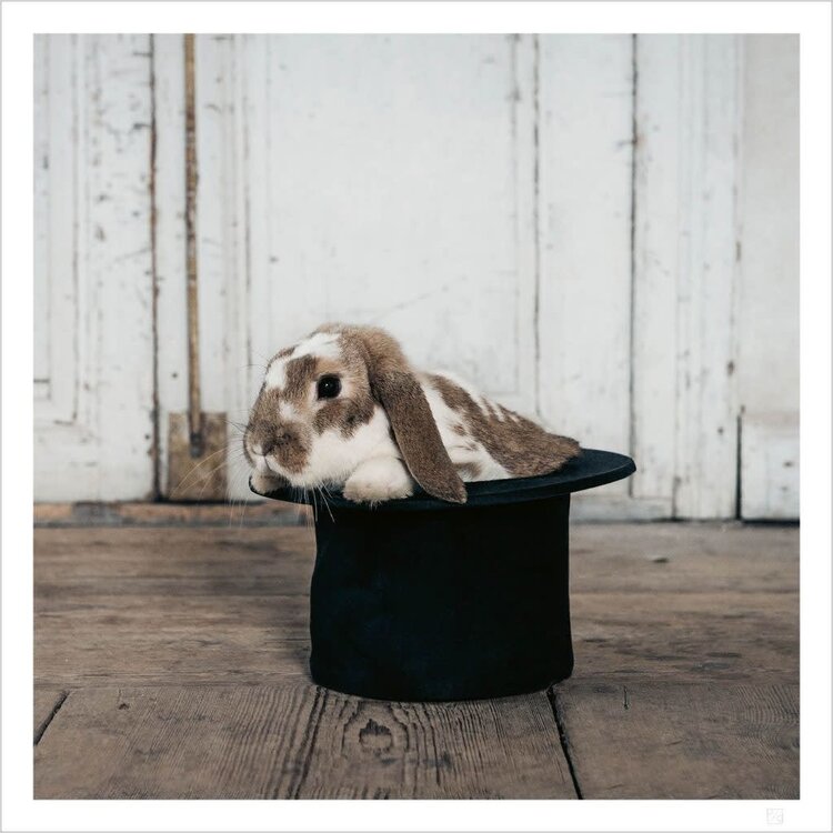 Love Warriors Hocus pocus bunny in a hat poster