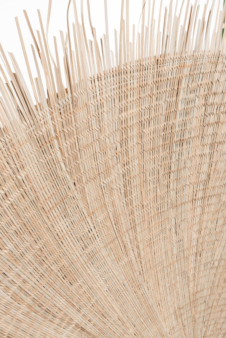 Malawi Hoofdeinde Dzuwa - Palm