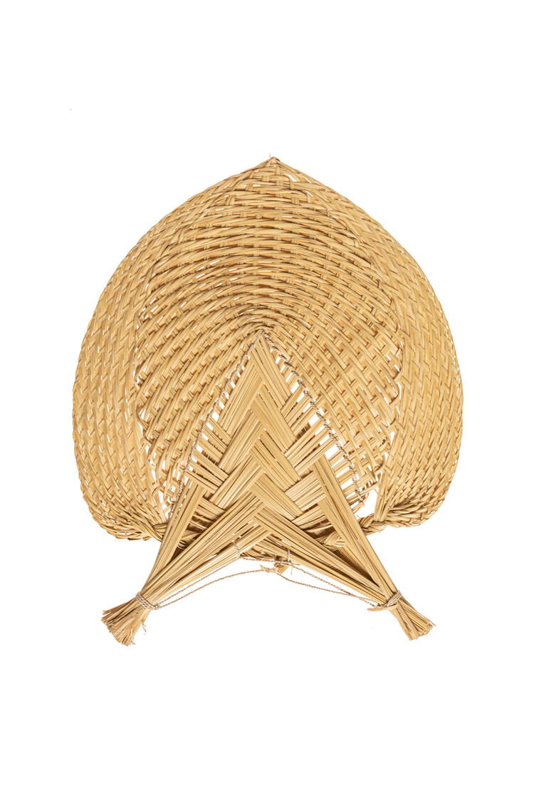 Valentina Hoyos Waaier - Colombia