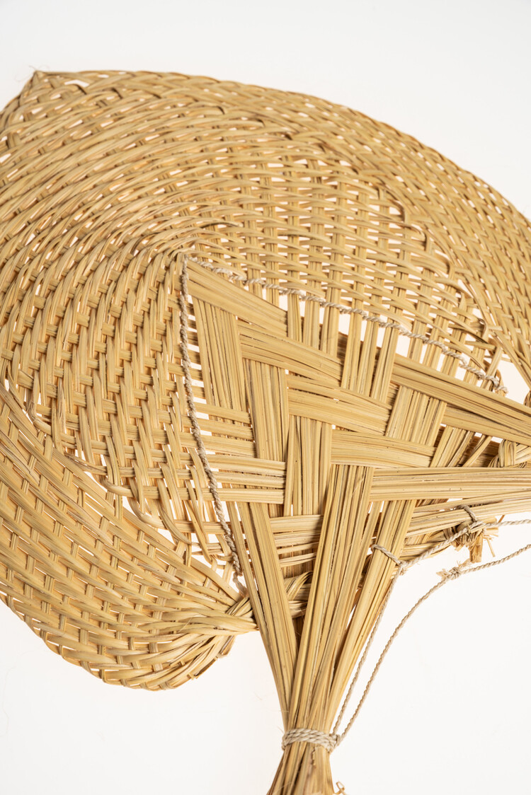 Valentina Hoyos Waaier - Colombia