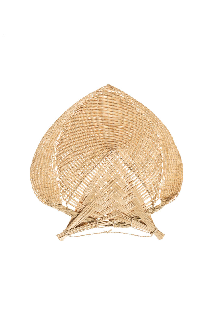 Valentina Hoyos Waaier - Colombia