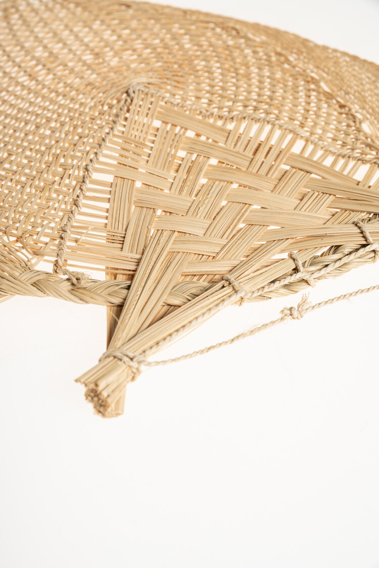 Valentina Hoyos Waaier - Colombia