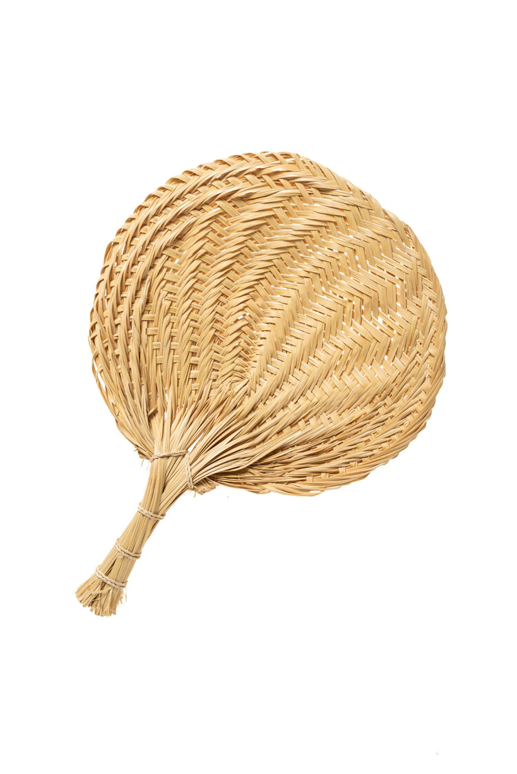 Valentina Hoyos Fan - Colombia