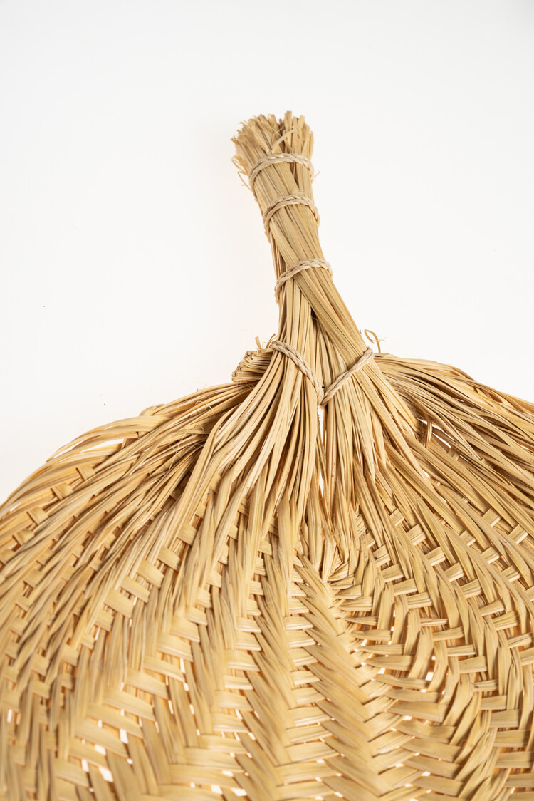 Valentina Hoyos Fan - Colombia