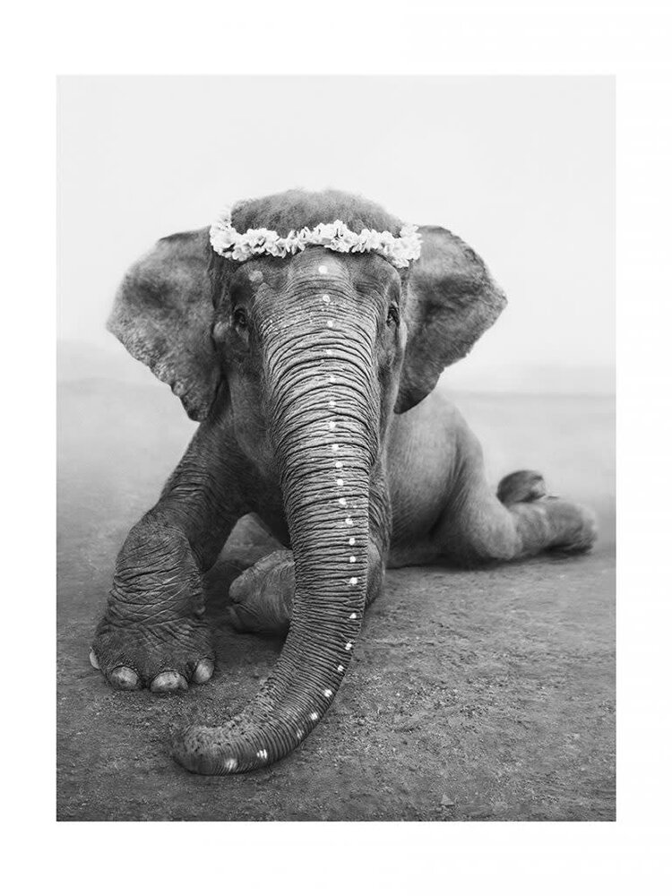 Love Warriors Sweetest Adèle - canvas - 100x150cm