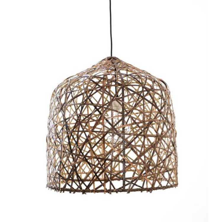 Ay Illuminate Black bird's nest