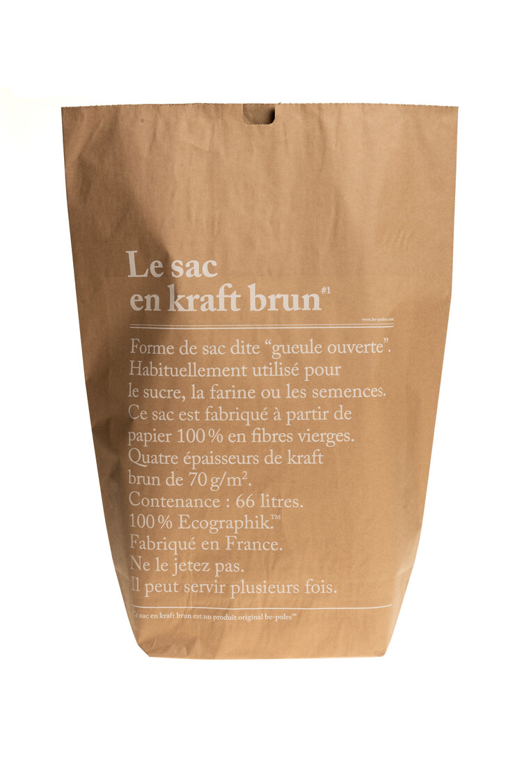 The brown paper bag
