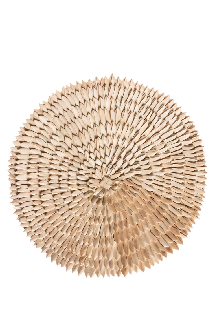 Porcupine wall plate