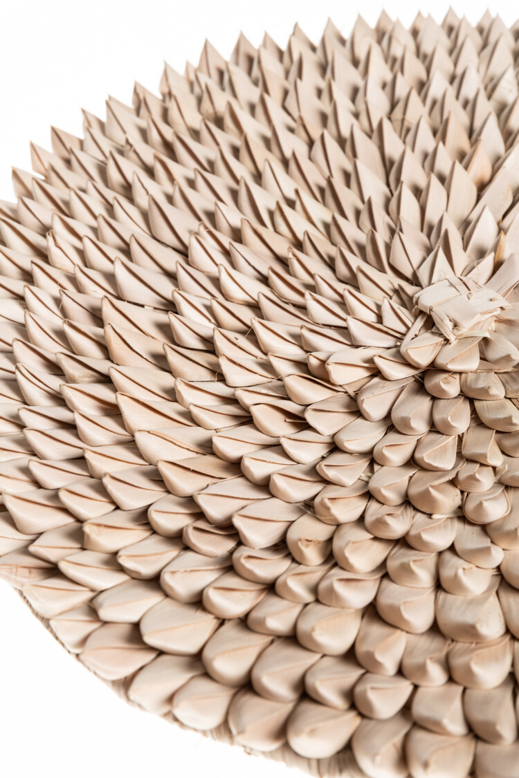 Porcupine wall plate small