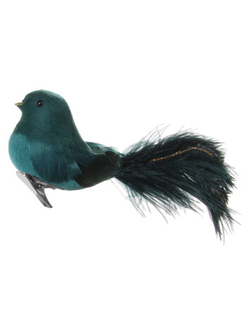 Vogel met clip - struisvogel staart - blauw/groen
