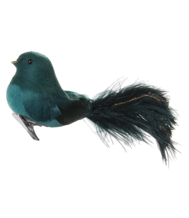 Bird with clip - ostrich tail - blue/green