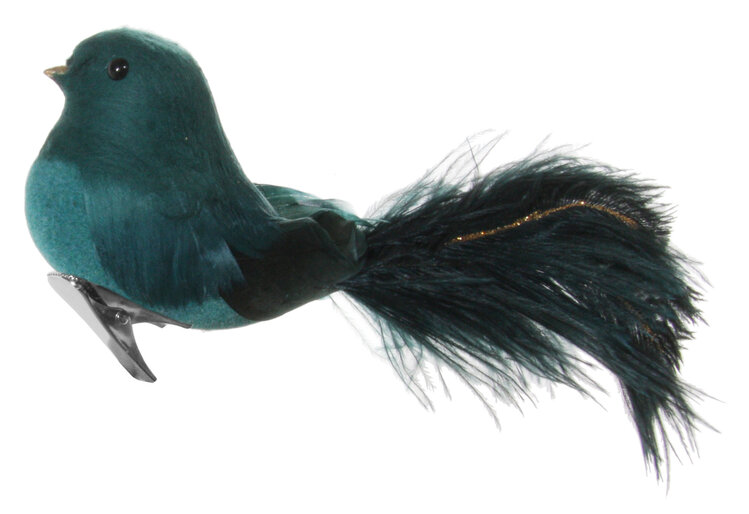 Bird with clip - ostrich tail - blue/green