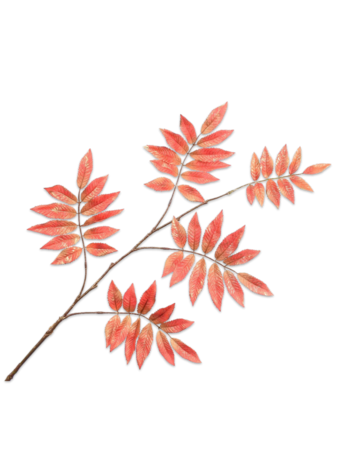 Silk-ka Bladtak oranje