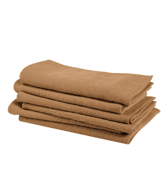 Napkin linen - squirrel