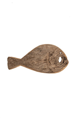 Fish Lamu #262
