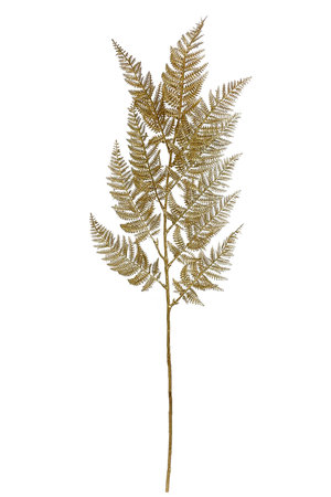 Fern gold