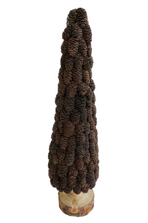 Alnus cone tree wooden base - natural